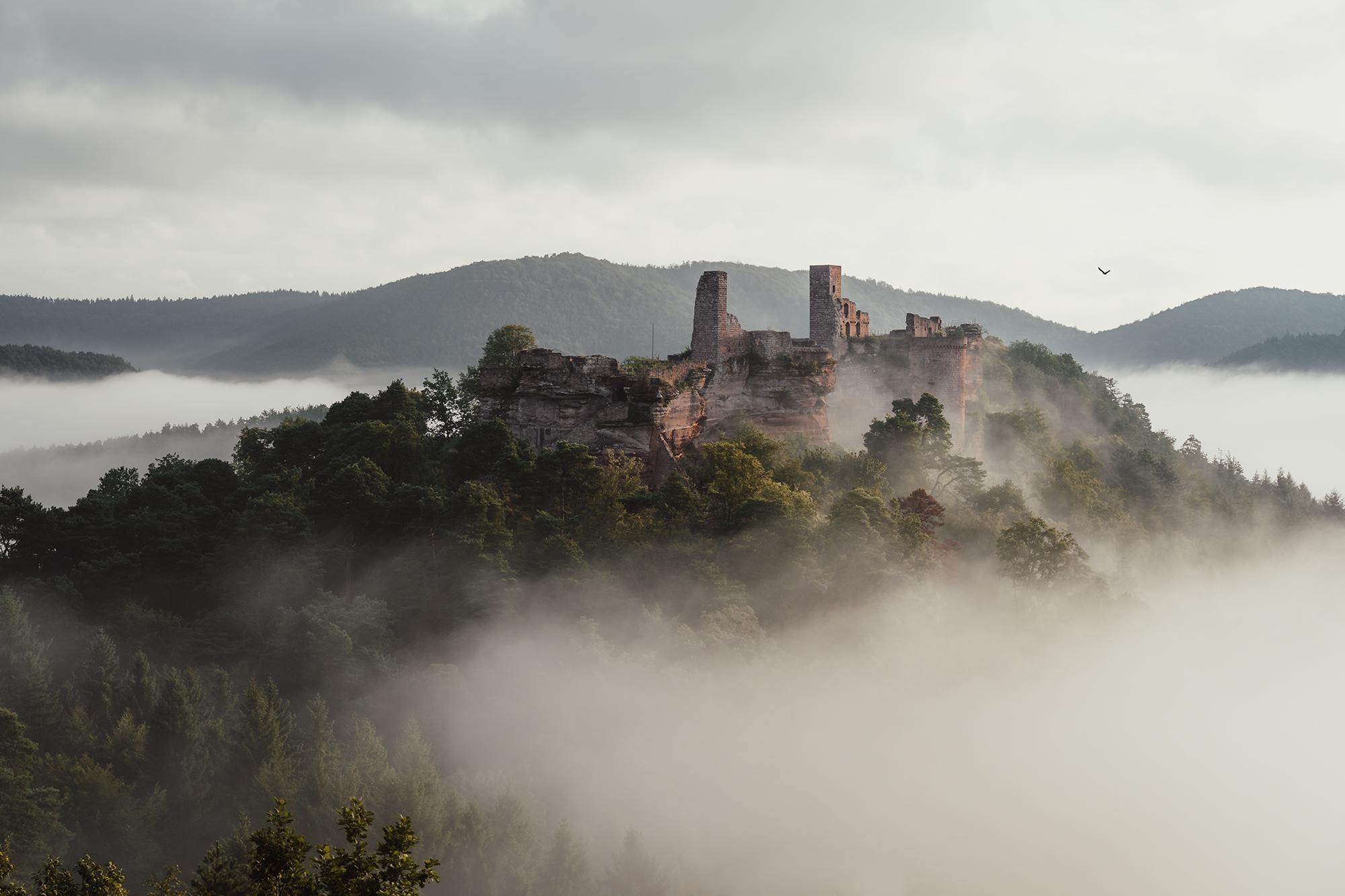Burg Altdahn im Nebel