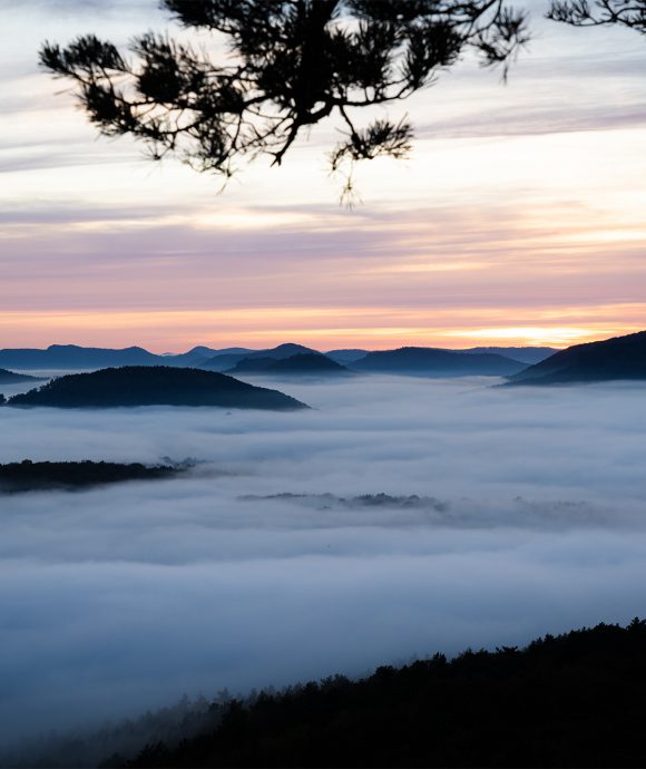 Stimmungsvolle Landschaften in der Pfalz