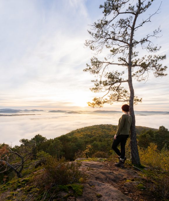 Fotografin und Mediengestalterin aus der Pfalz