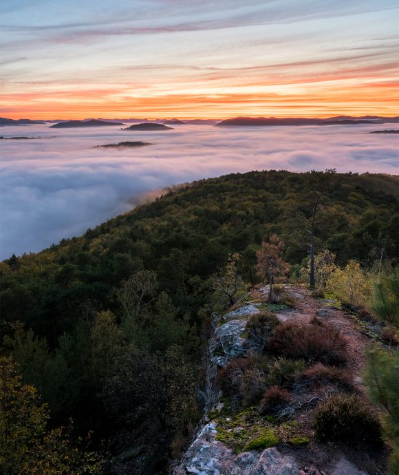 Stimmungsvolle Landschaften in der Pfalz